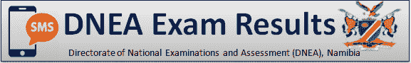DNEA Exam Results 2022 Via SMS
