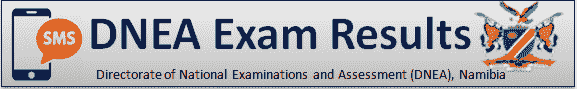 DNEA Exam Results 2025 Via SMS