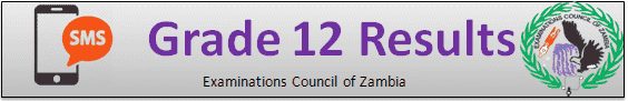 ECZ G12 Results 2025 Zambia
