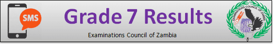 ECZ G7 Results 2021 Zambia 