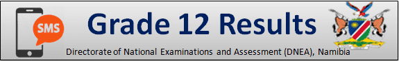 NSSC Ordinary Level Results 2024 Via SMS