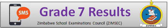 Grade Seven Results 2025
