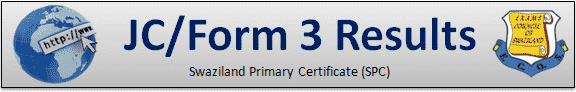 Form 3 results 2024-2025