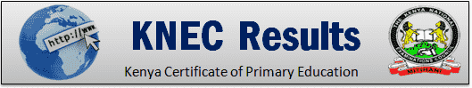How to check KNEC 2025 Result Slip Portal?