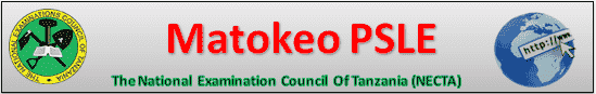 necta matokeo psle 2025