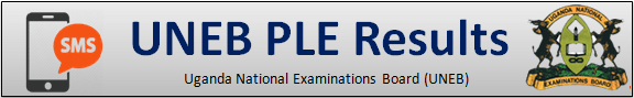 UNEB PLE Results 2025 USSD and SMS