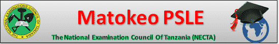 Standard Seven Result 2019 necta matokeo psle 2025 Results