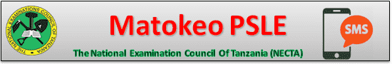 necta PSLE 2025 results 