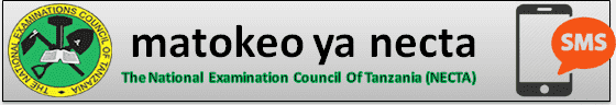 How to check necta results 2025